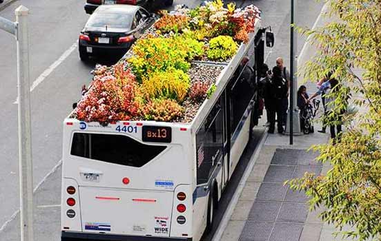 FOTO bus com raízes ecológico bioretro