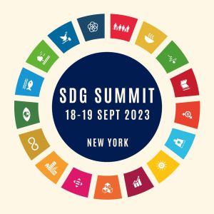 Immagine SDG Summit 2023 300x300