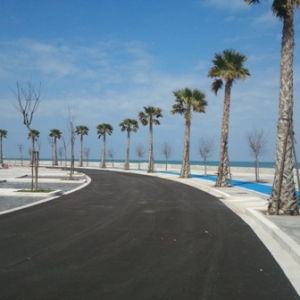 Bari6